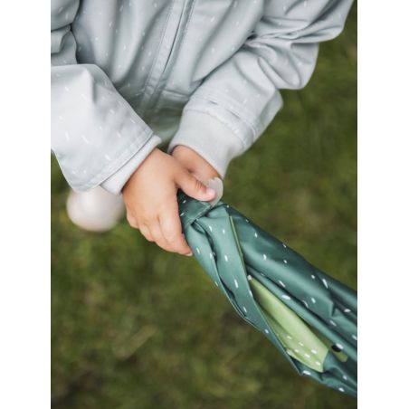 Parapluie | Mr. Crocodile 