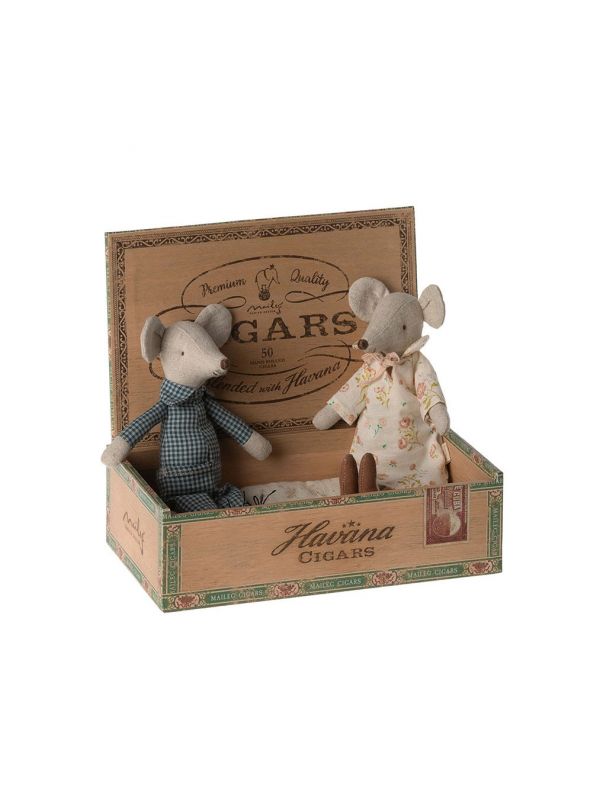 Grand-mère & Grand-père souris dans leur boîte à cigares